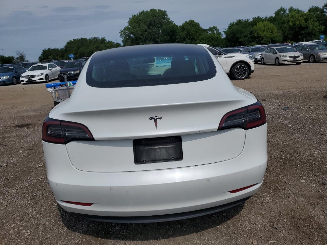 2019 Tesla Model 3 VIN: 5YJ3E1EA1KF484075 Lot: 62875535