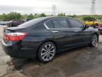 2013 Honda Accord Sport   for Sale in Littleton, CO - Rear End
