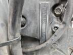 2007 Yamaha Fz6 Shg for Sale in Prairie Grove, AR - Front End