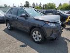2019 Toyota Rav4 Xle for Sale in Pennsburg, PA - Front End