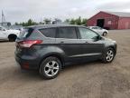 2016 Ford Escape Se   за продажба в London, ON - Front End