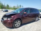 2016 Honda Odyssey Exl for Sale in Leroy, NY - Front End