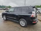 2017 Lexus Gx 460 იყიდება Louisville-ში, KY - Side