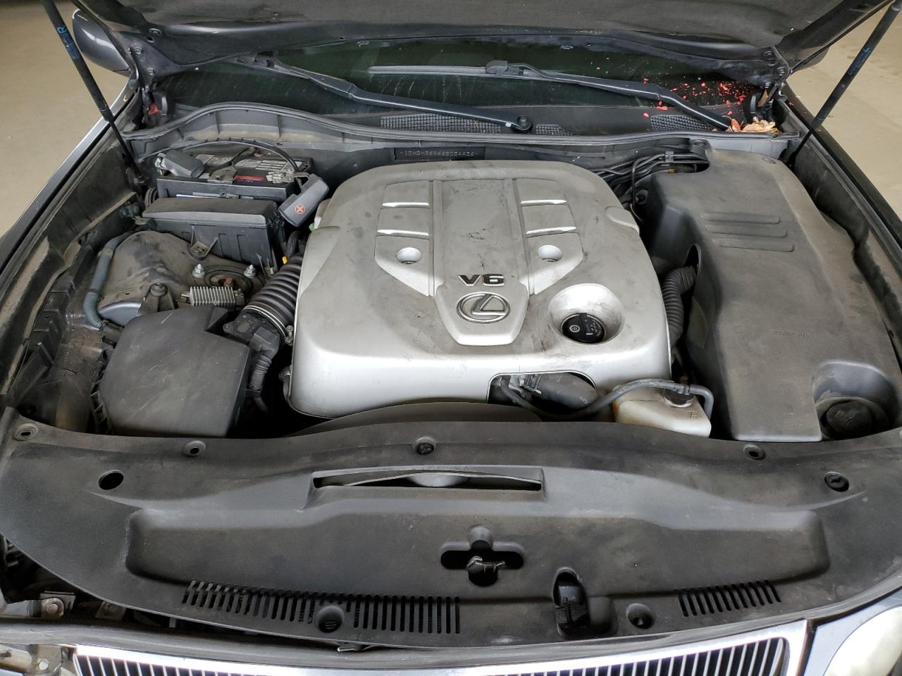 2006 Lexus Gs 300 VIN: JTHBH96S665034436 Lot: 60283895