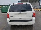 2010 Ford Escape Xlt   for Sale in Lebanon, TN - Side