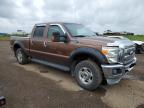 2011 FORD F250 SUPER DUTY   for sale at Copart AB - CALGARY