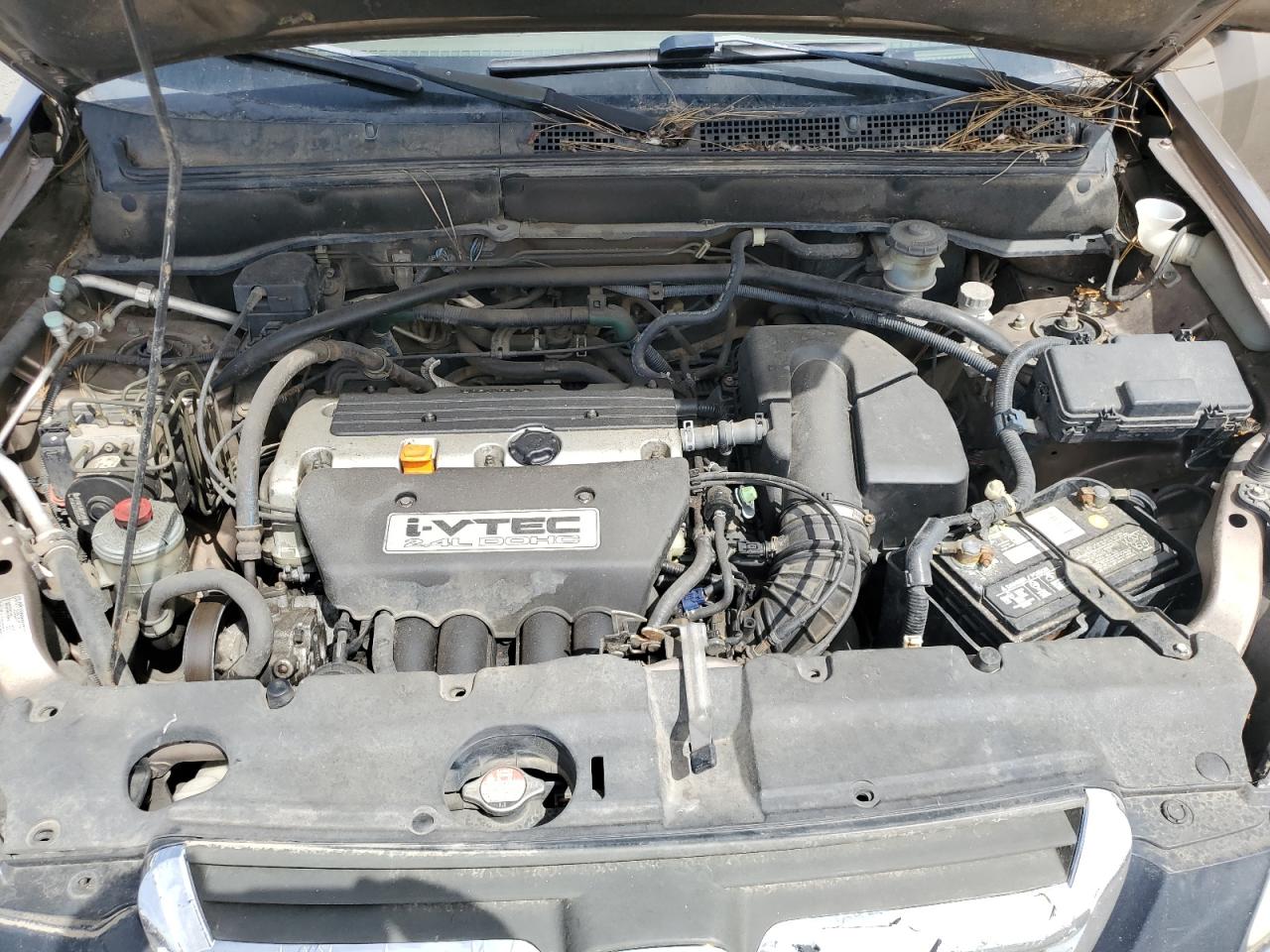 2003 Honda Cr-V Ex VIN: JHLRD77873C010840 Lot: 62418445