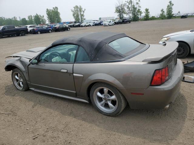 2001 FORD MUSTANG GT  