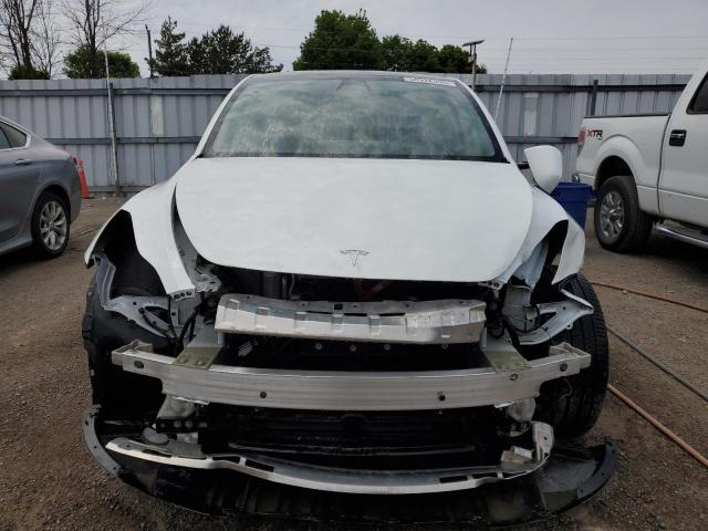  TESLA MODEL Y 2023 Biały