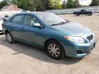 2010 Toyota Corolla Base   for Sale in Finksburg, MD - Rear End