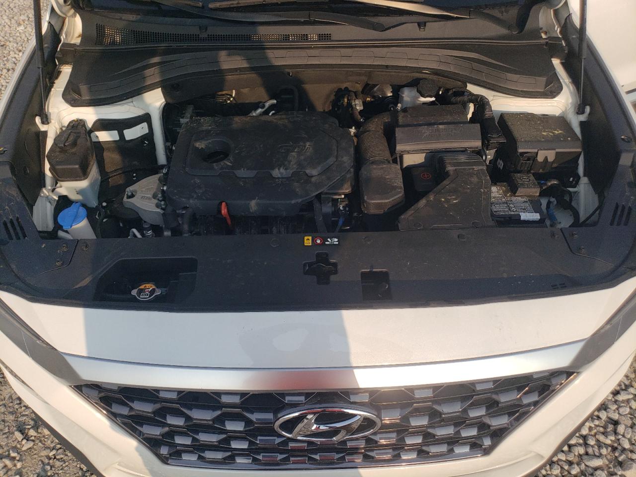 2020 Hyundai Santa Fe Sel VIN: 5NMS33AD9LH263935 Lot: 59164255