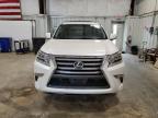 2016 Lexus Gx 460 for Sale in Milwaukee, WI - Hail