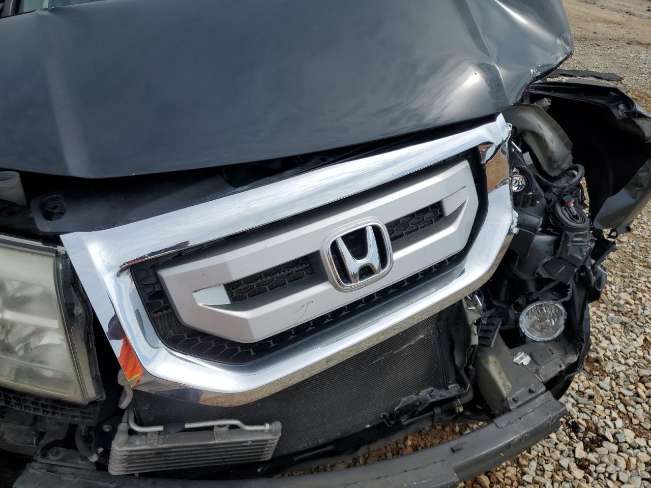 2011 Honda Pilot Exln VIN: 5FNYF4H7XBB001672 Lot: 59942295