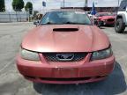 2004 Ford Mustang  for Sale in Wilmington, CA - Minor Dent/Scratches