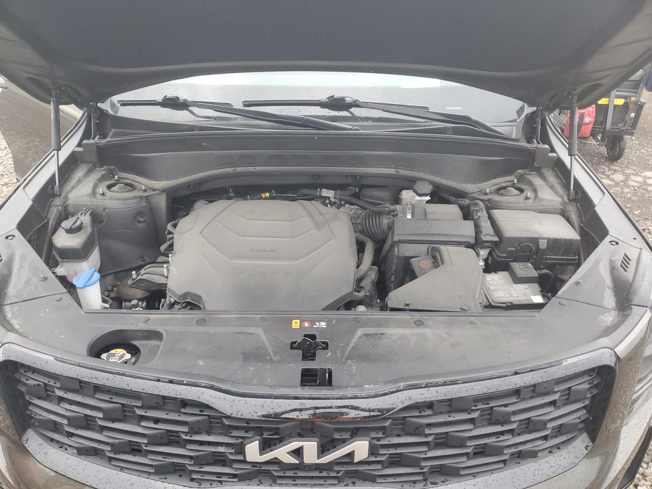 2022 Kia Telluride Sx VIN: 5XYP5DHC8NG272285 Lot: 62363605