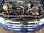 2008 FORD ESCAPE XLT   for sale at Copart MN - MINNEAPOLIS