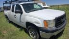 2008 GMC SIERRA C1500   à vendre chez Copart CO - COLORADO SPRINGS