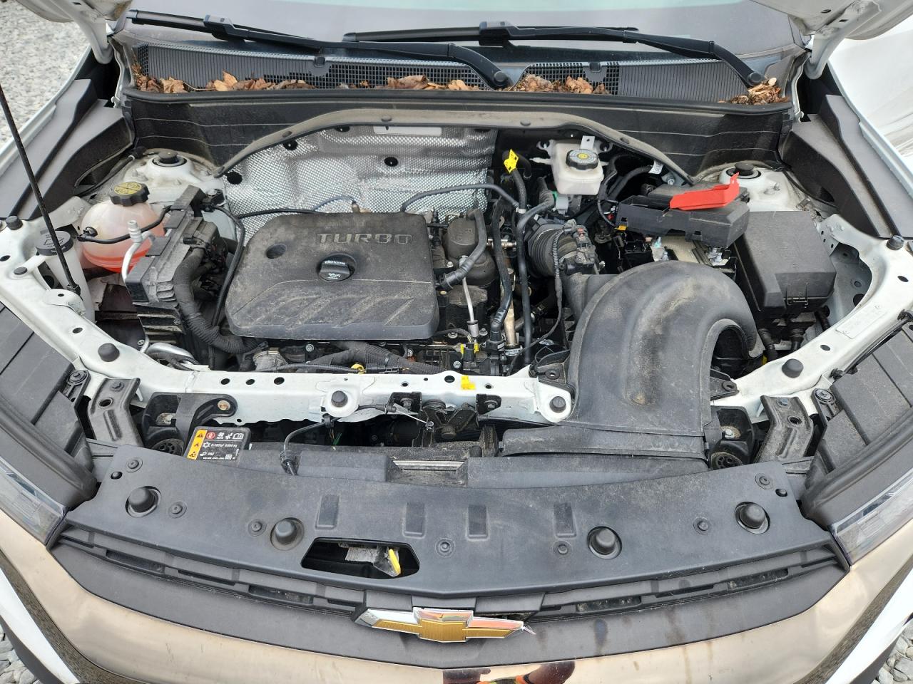 2022 Chevrolet Trailblazer Activ VIN: KL79MSSL1NB076169 Lot: 62256565