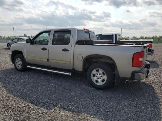 2009 CHEVROLET SILVERADO C1500  