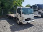 2022 Isuzu Nqr  for Sale in York Haven, PA - All Over