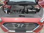 New Orleans, LA에서 판매 중인 2019 Hyundai Sonata Se - Rear End