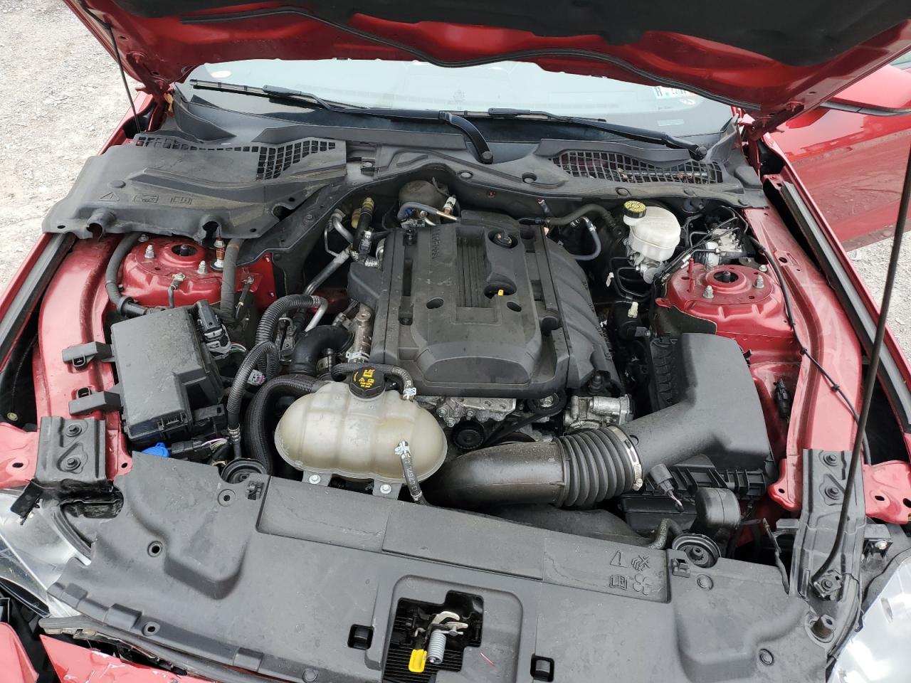 2020 Ford Mustang VIN: 1FA6P8TH5L5129757 Lot: 62587375