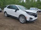 2024 CHEVROLET EQUINOX LT   à vendre chez Copart ON - COOKSTOWN