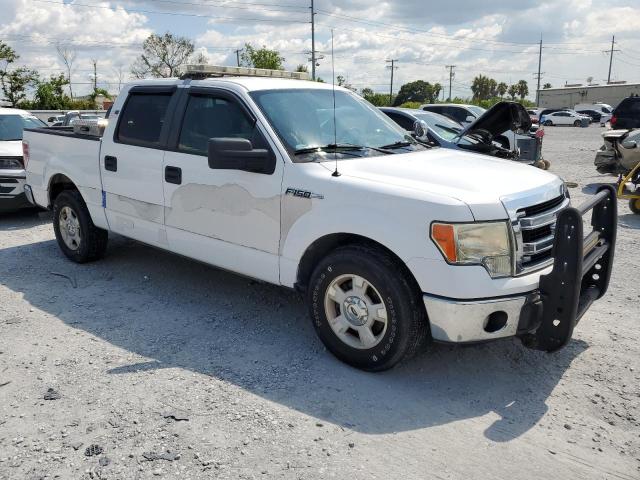 Пикапы FORD F-150 2014 Белы