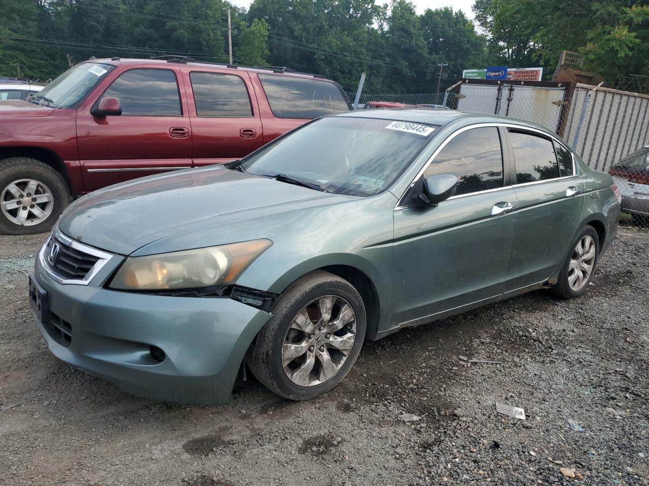 2008 Honda Accord Exl للبيع في Baltimore، MD - Front End