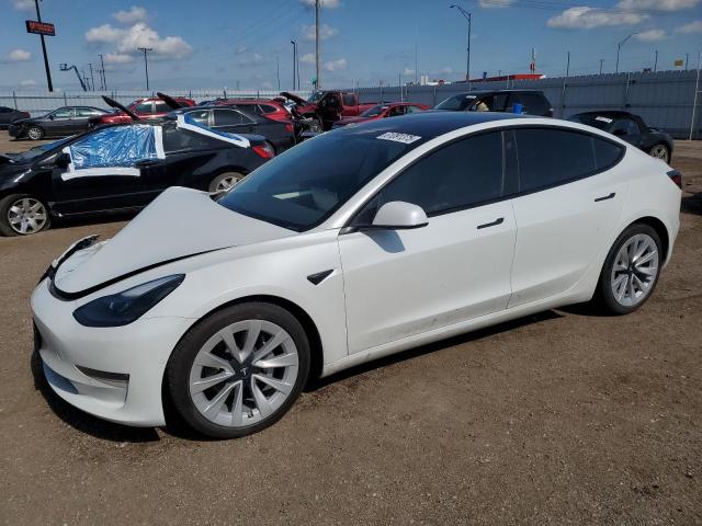 TESLA MODEL 3 2021