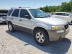 2006 Ford Escape Xlt for Sale in Prairie Grove, AR - Hail