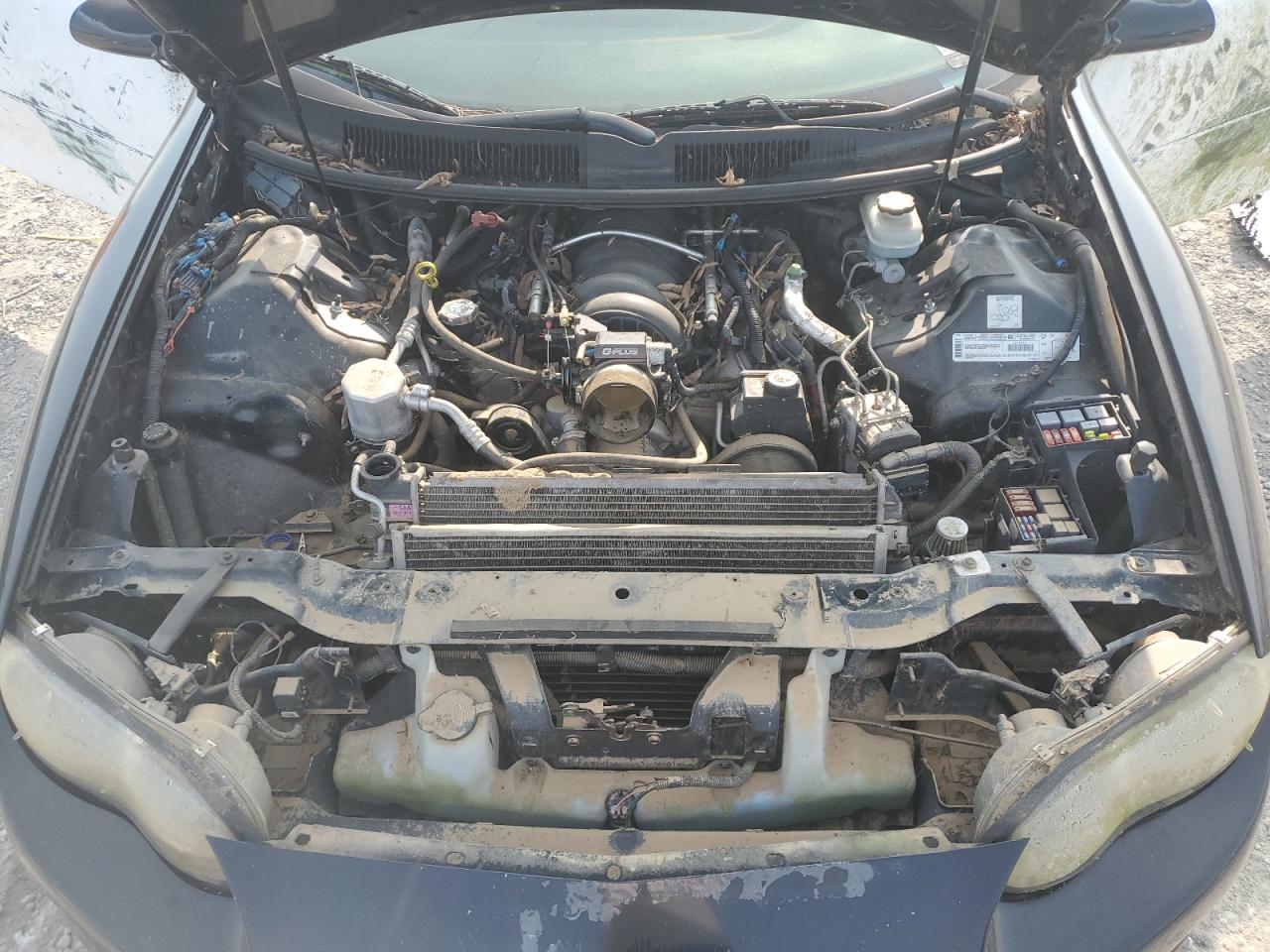 2002 Chevrolet Camaro Z28 VIN: 2G1FP22G522136212 Lot: 56327635
