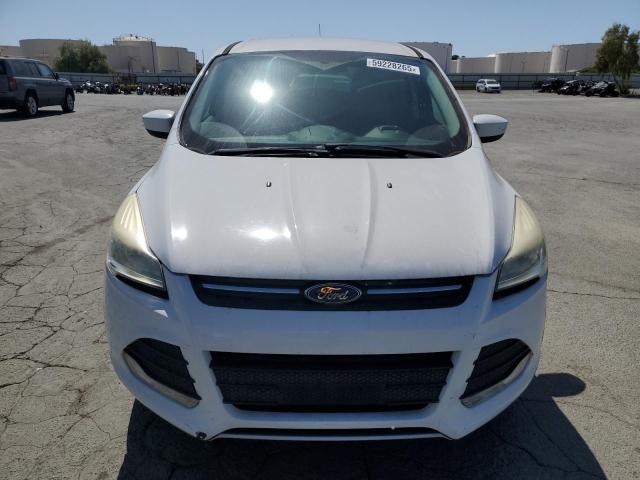  FORD ESCAPE 2014 White