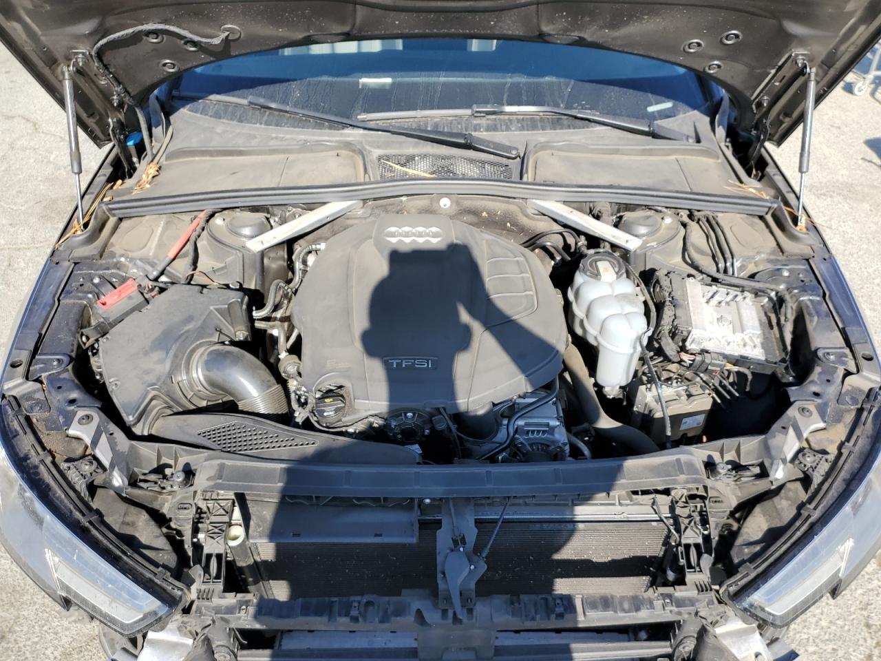 2019 Audi A4 Premium VIN: WAUDNAF48KA060198 Lot: 62713115