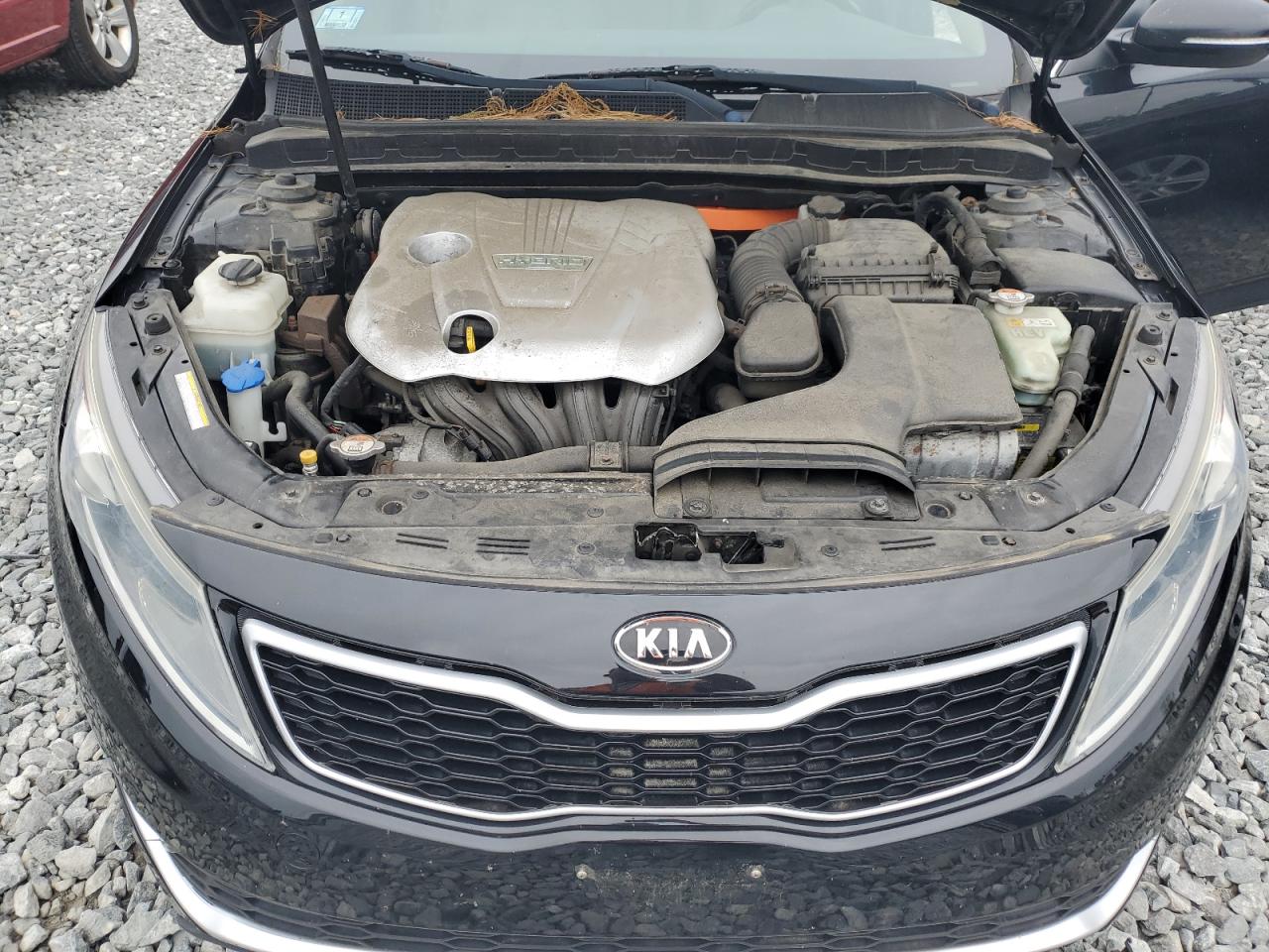 2012 Kia Optima Hybrid VIN: KNAGM4AD5C5013066 Lot: 61425125