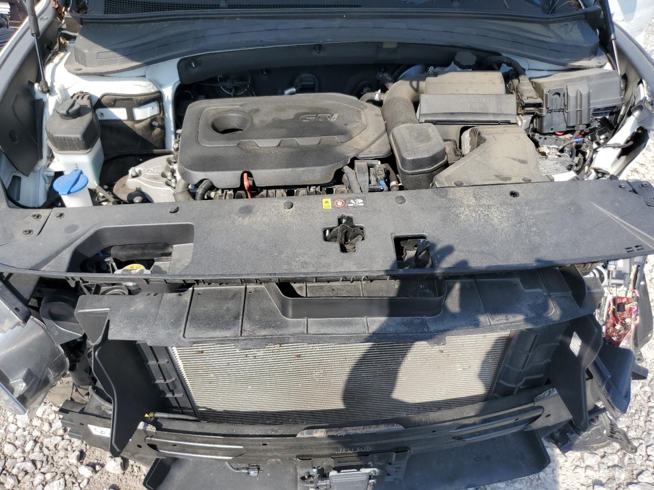 2020 Hyundai Santa Fe Limited VIN: 5NMS53AD9LH289994 Lot: 61557835