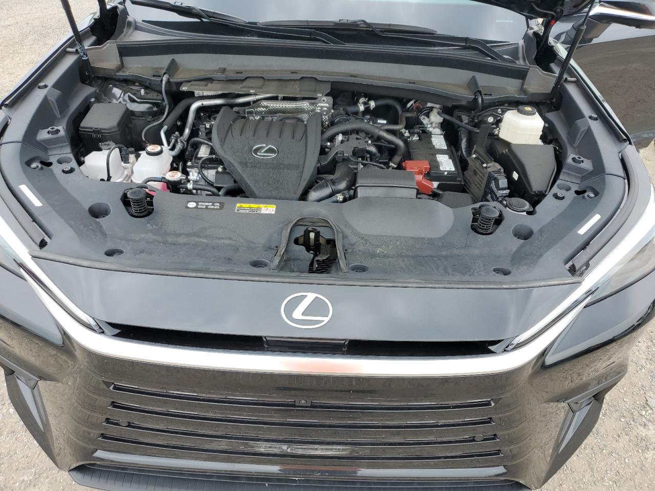 2024 Lexus Tx 350 Base VIN: 5TDAAAB64RS007925 Lot: 60975585