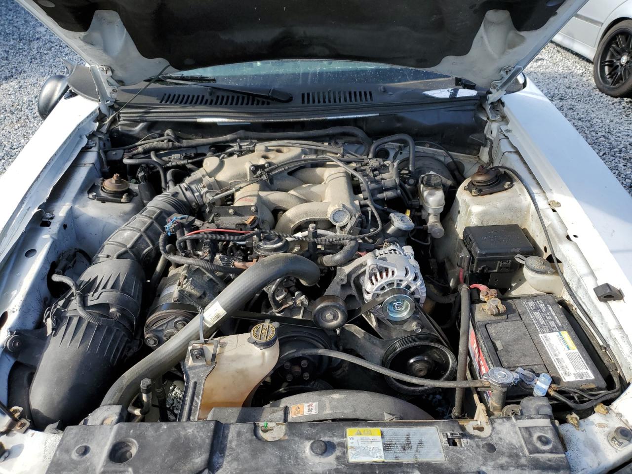2002 Ford Mustang VIN: 1FAFP44492F121223 Lot: 62474065