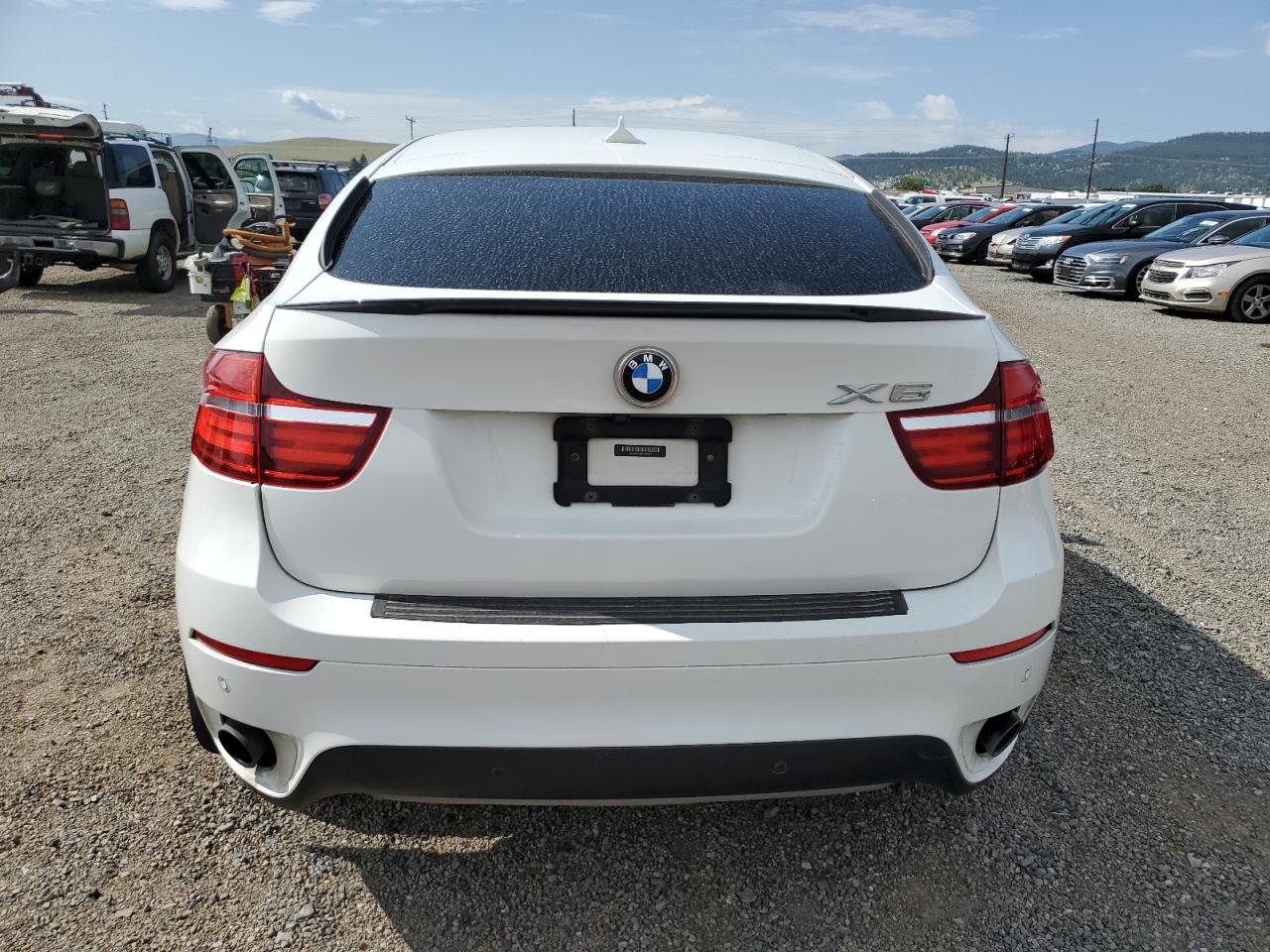 2013 BMW X6 xDrive35I VIN: 5UXFG2C52DL783317 Lot: 60334615
