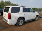 2019 CHEVROLET TAHOE K1500 LS   for sale at Copart ON - COOKSTOWN