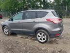 2014 Ford Escape Se for Sale in Cicero, IN - Mechanical