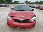 2009 Toyota Corolla Base zu verkaufen in Opa Locka, FL - Front End