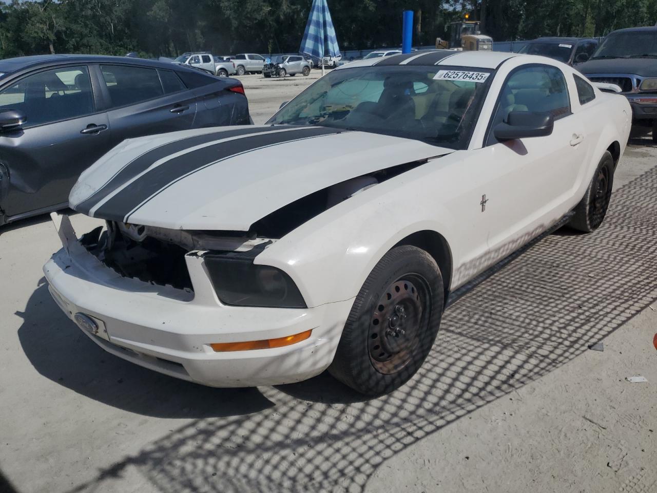 FORD ALL Models 2006 VIN 1ZVFT80N965136390