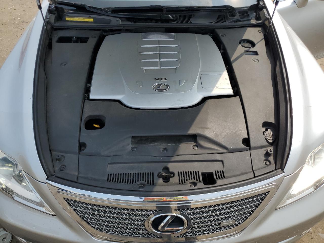2008 Lexus Ls 460 VIN: JTHBL46F585065314 Lot: 59865245