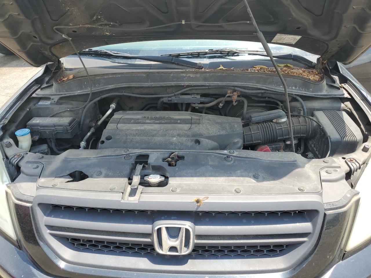 2003 Honda Pilot Exl VIN: 2HKYF18573H611030 Lot: 62665475