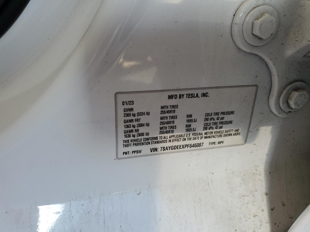 2023 Tesla Model Y VIN: 7SAYGDEEXPF646087 Lot: 62720685