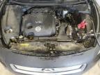 Columbia, MO에서 판매 중인 2013 Nissan Maxima S - Front End