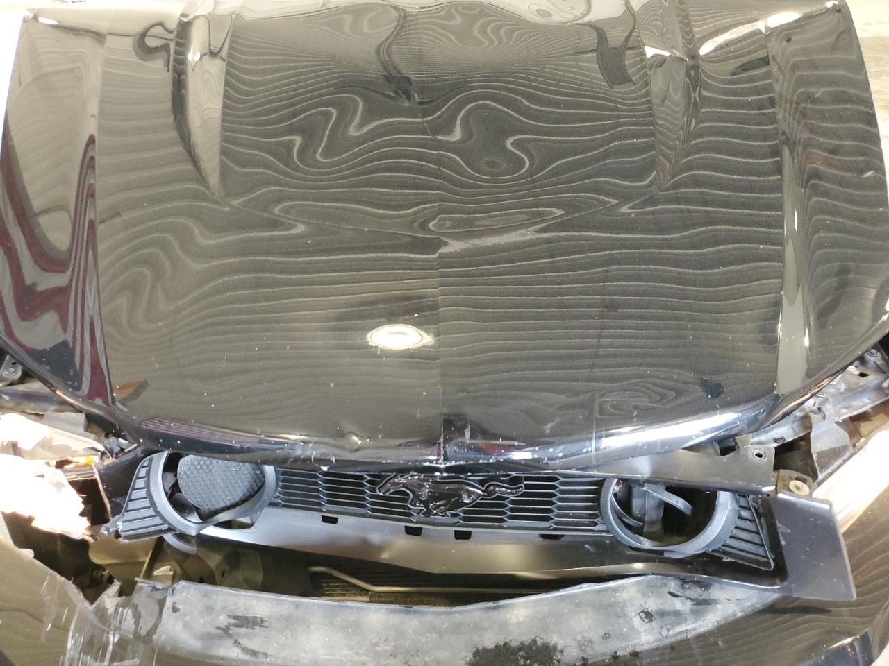 2010 Ford Mustang Gt VIN: 1ZVBP8CHXA5132303 Lot: 60629985