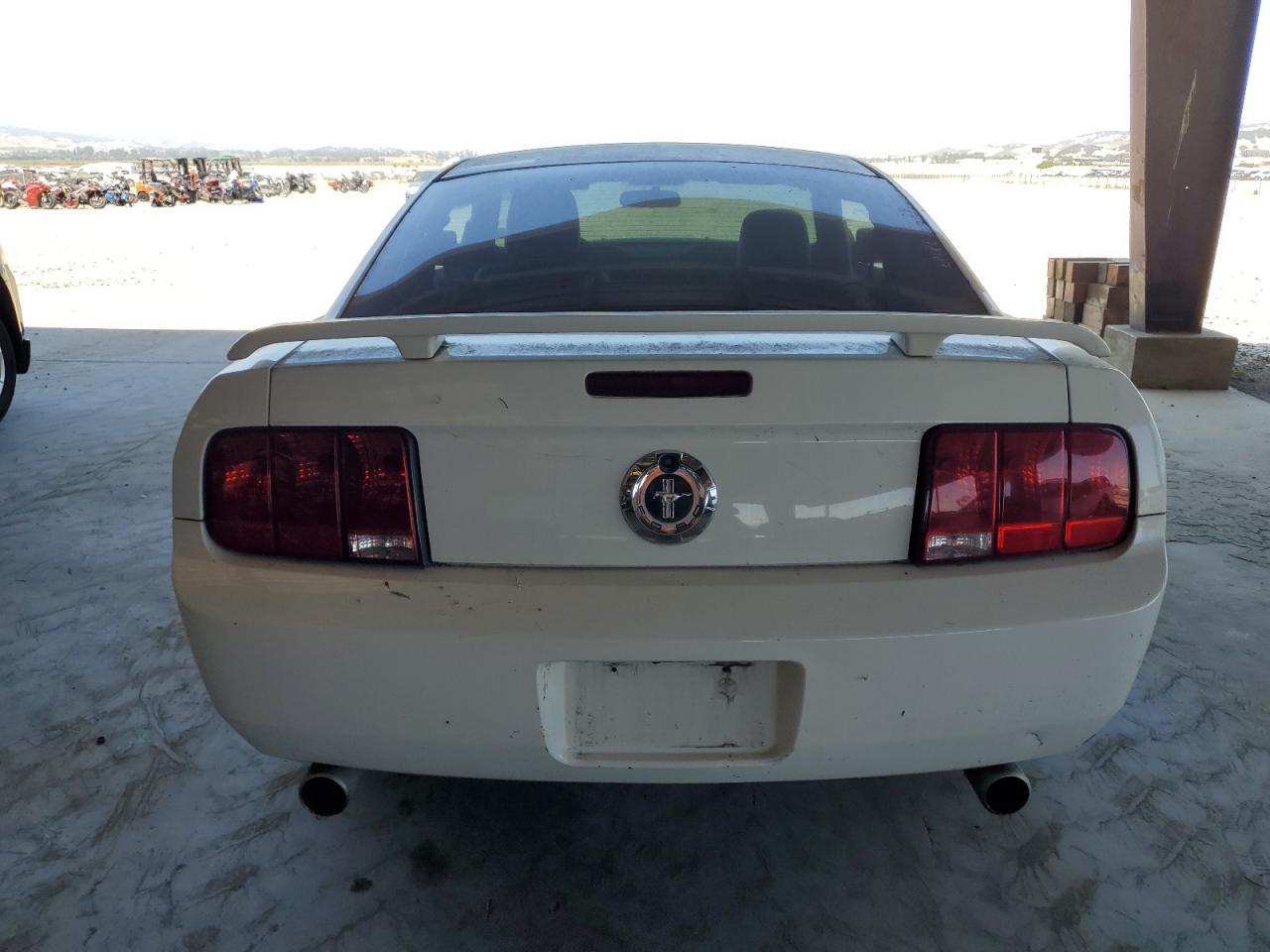 2006 Ford Mustang VIN: 1ZVFT80N565196196 Lot: 62432655