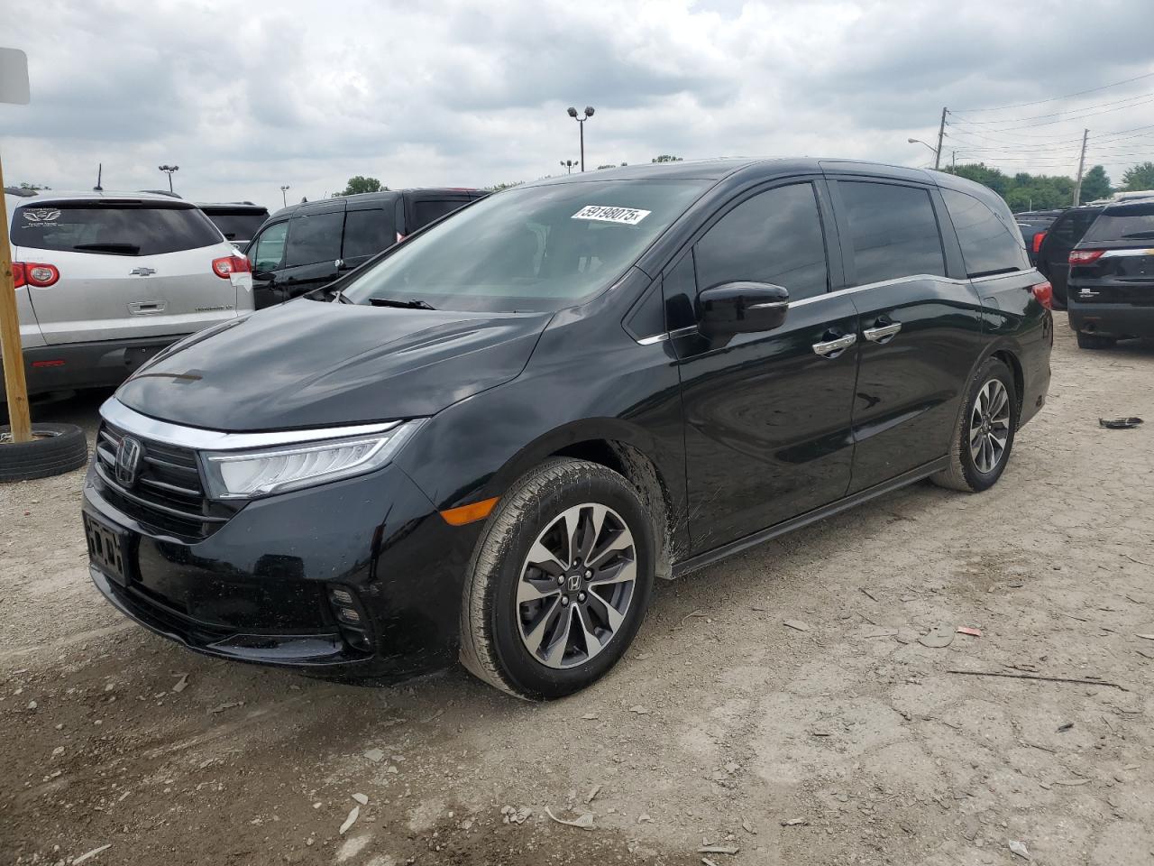 2022 Honda Odyssey Exl